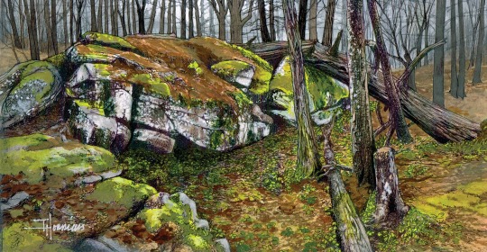 Awakening Woods