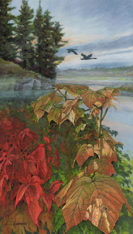 Bob’s Lake
