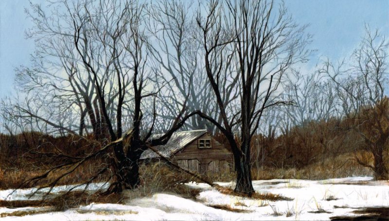 Country Shack