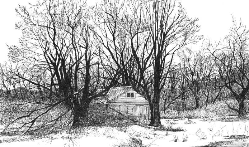 Country Shack Sketch