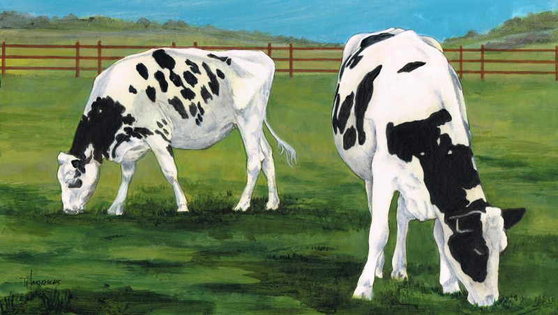 Grazing
