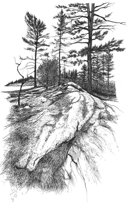 Kawarth: Land of Reflection Sketch