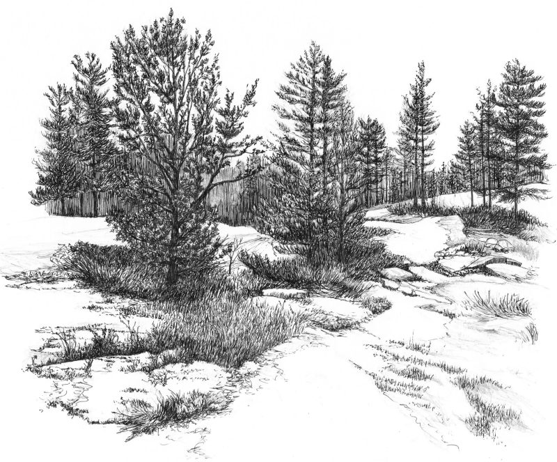 Kawartha Highlands Sketch