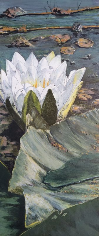 Lily