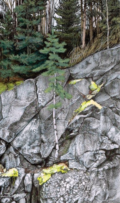 Sapling