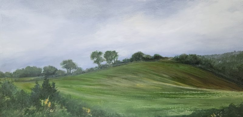 Late Summer Fields