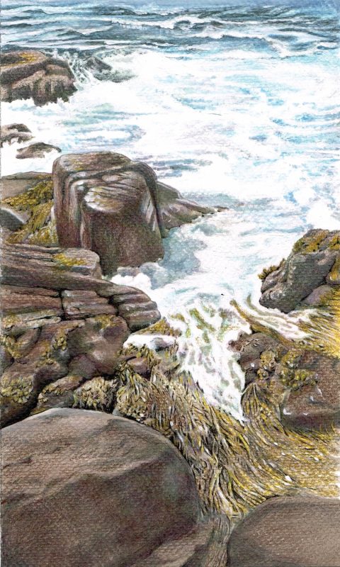 Tor Bay