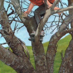Tree Climbing