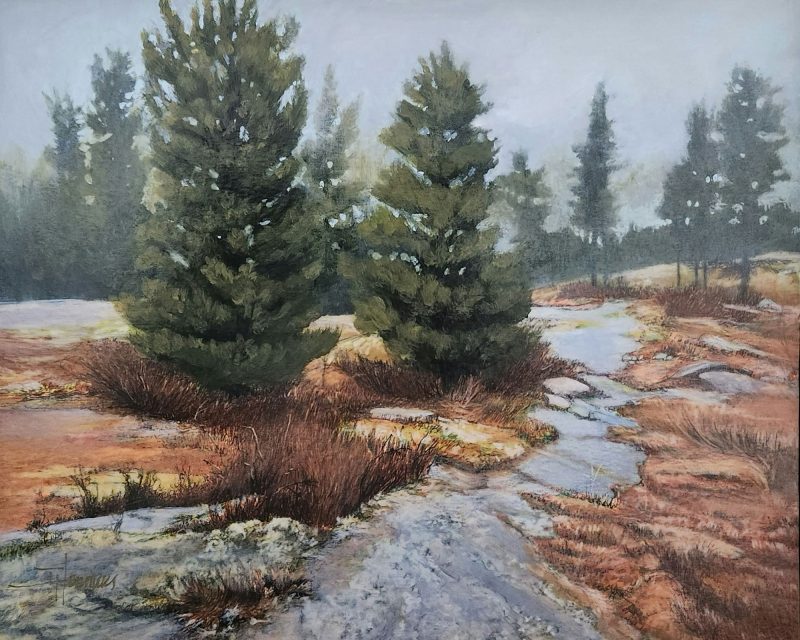 Kawartha Highlands